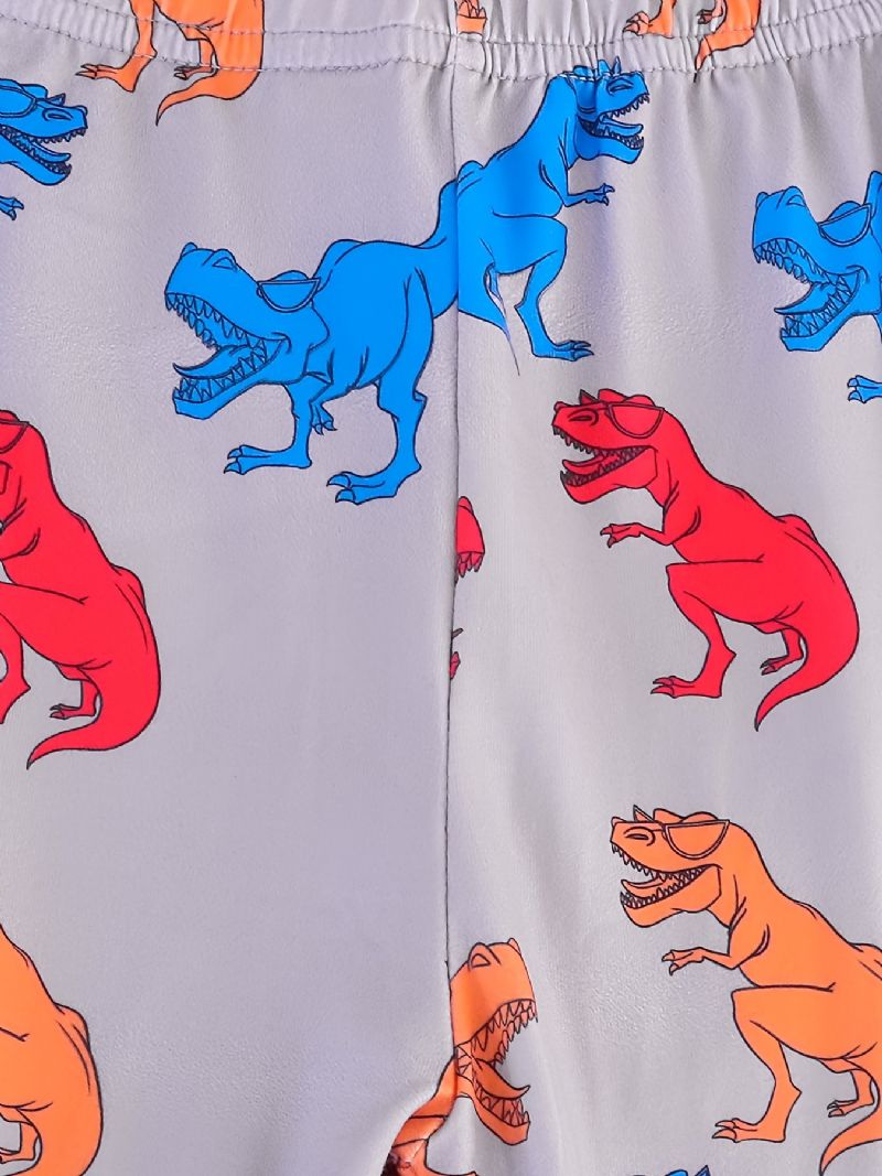 Drenge Pyjamas Familieoutfit Dinosaur Print Rundhalset Langærmet Top & Buksesæt Børnetøj