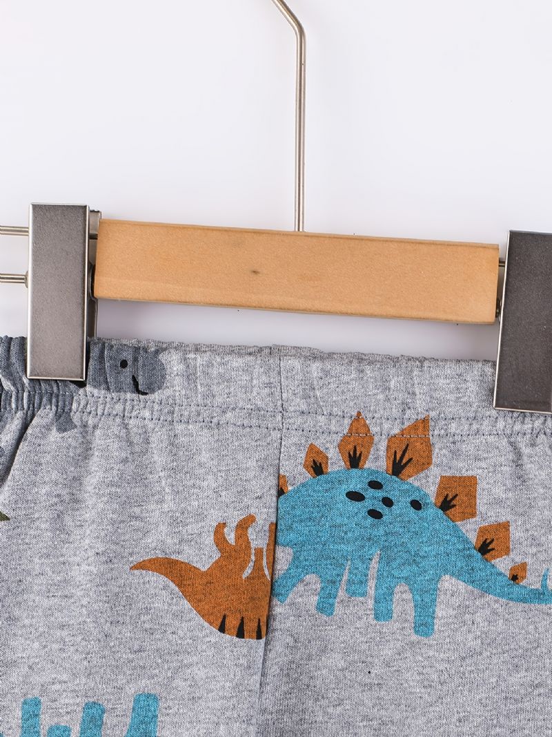 2 Stk Drenge Sød Dinosaur Tegneserie Print Langærmet Hættetrøje Sweatshirt Top Elastiske Taljebukser Sæt Tøj