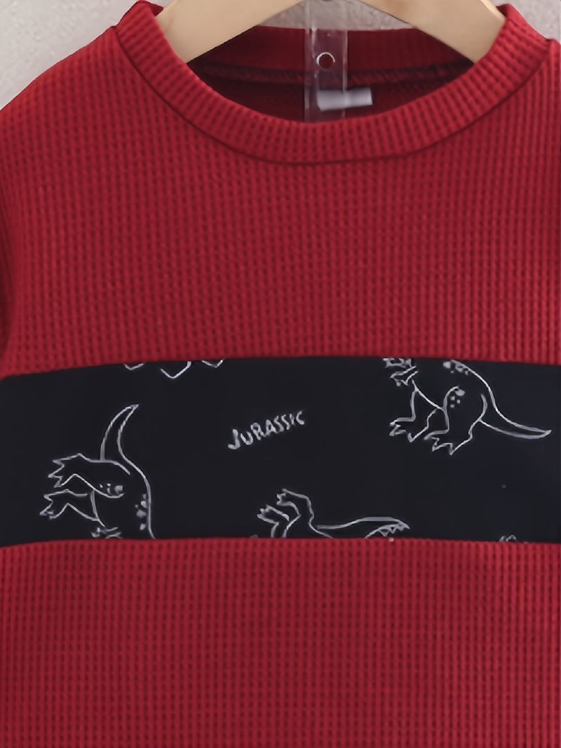 Drenge Casual Dinosaur Trykt Rund Hals Langærmede Sweatshirts Bukser Sæt Efterår Vinter