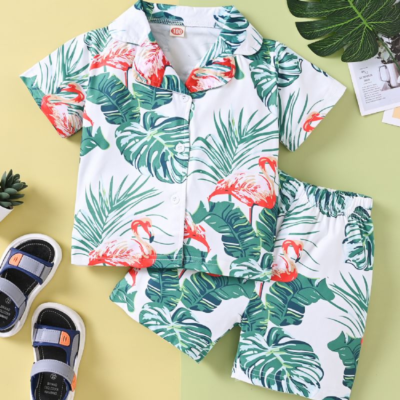 Drenge Casual Flamingo Print Shorts Sæt