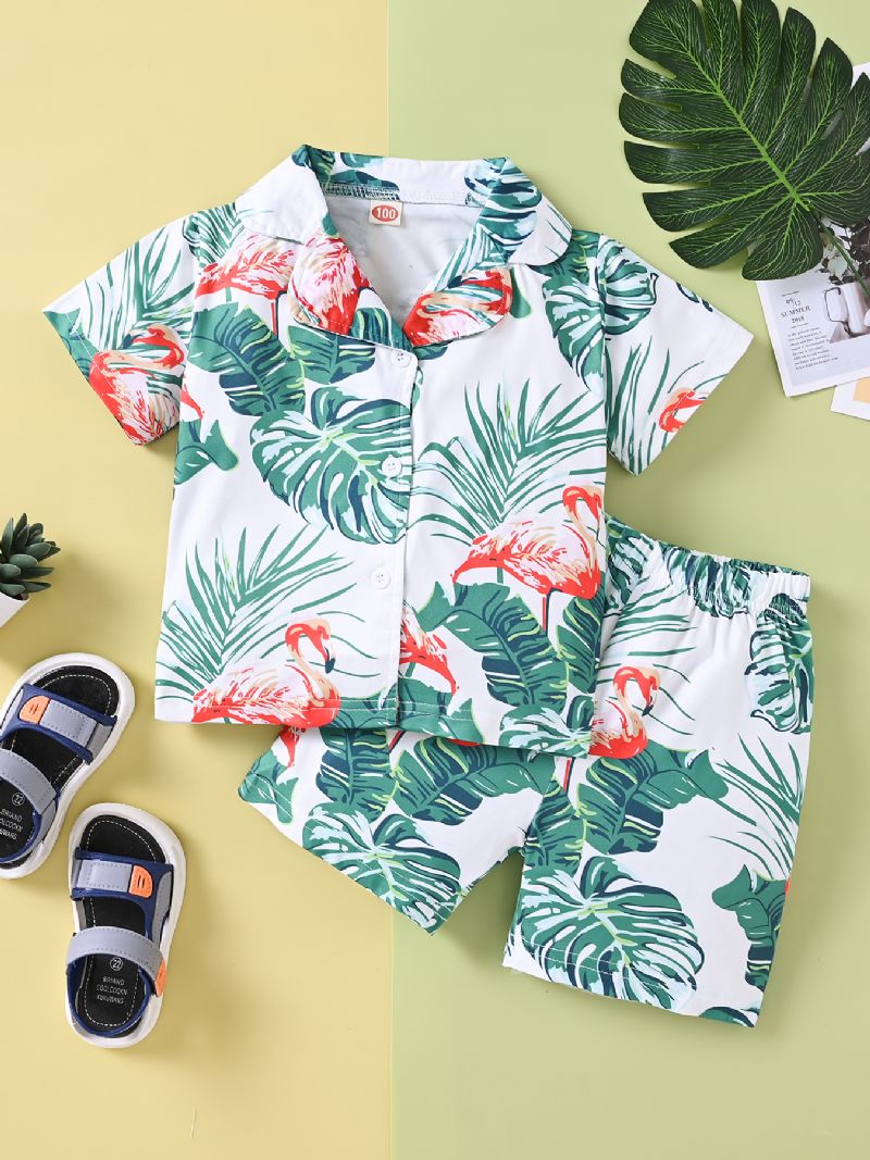 Drenge Casual Flamingo Print Shorts Sæt