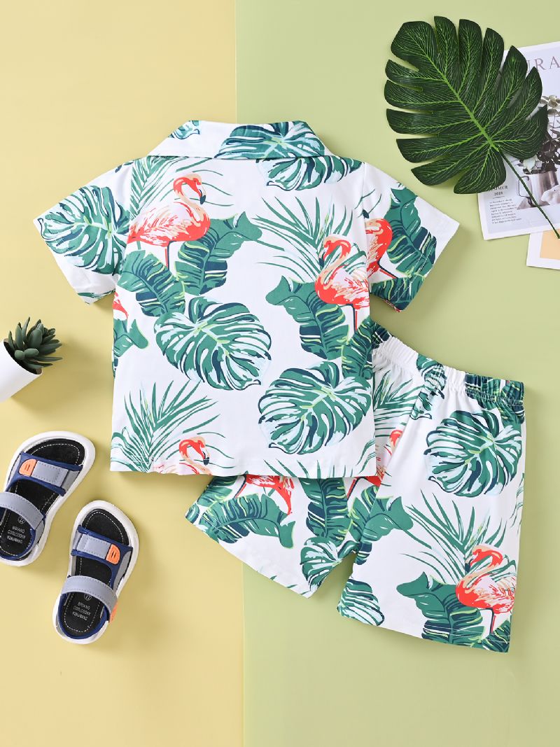 Drenge Casual Flamingo Print Shorts Sæt