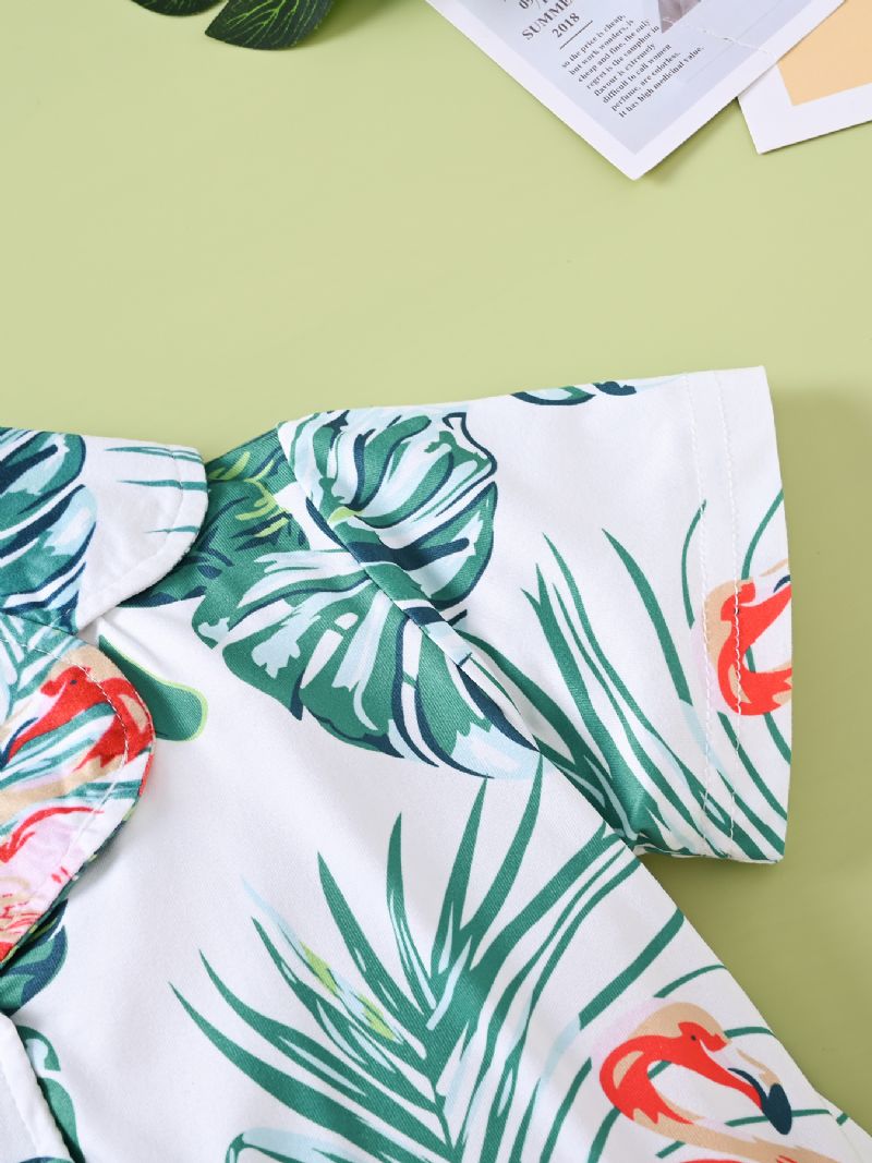 Drenge Casual Flamingo Print Shorts Sæt