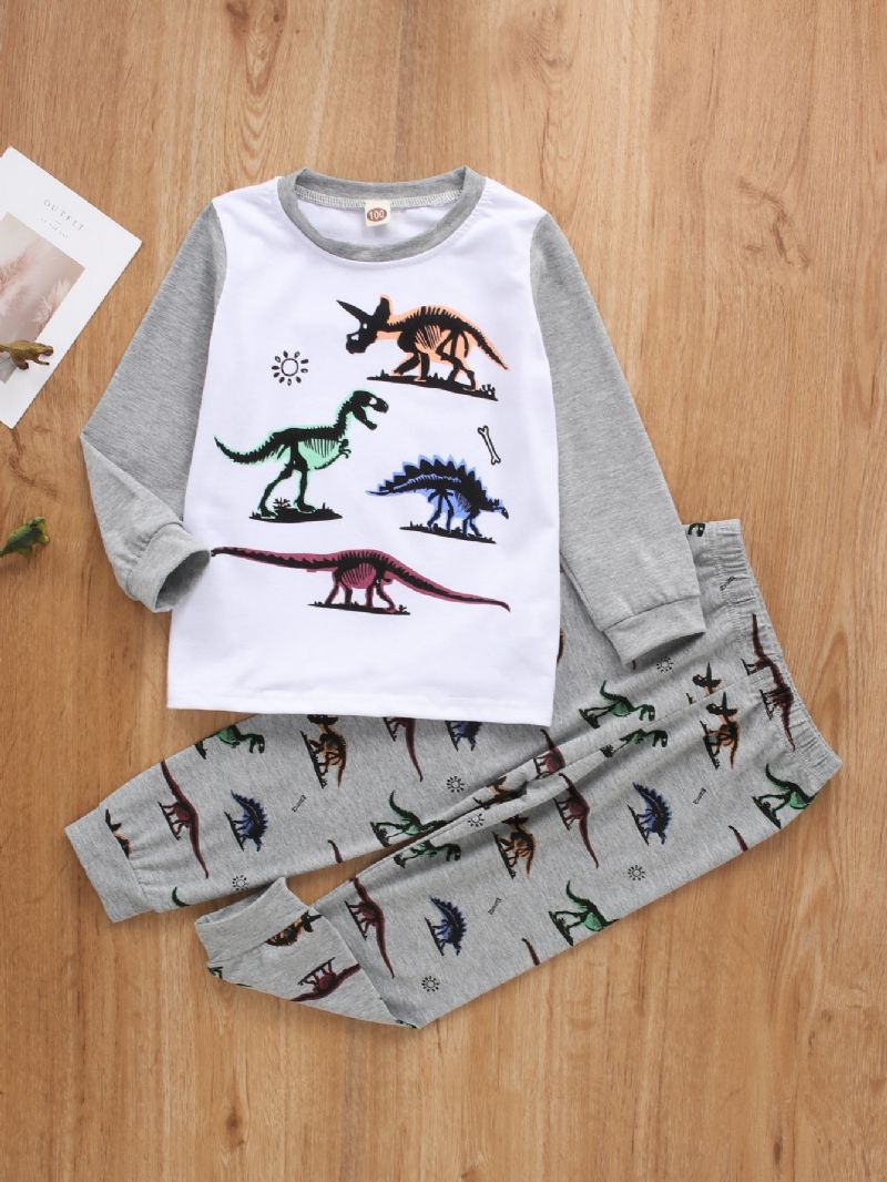 Drenge Dinosaur Print Langærmet Sweatshirt & Bukser Sæt