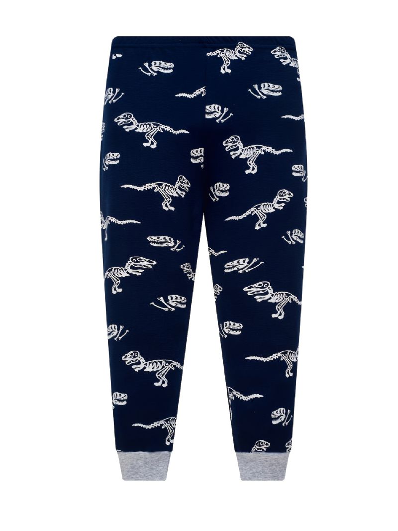 Drenge Pyjamas Sød Dinosaur Print Glow-in-the-mørke Rundhals Langærmet Top Og Bukser Sæt