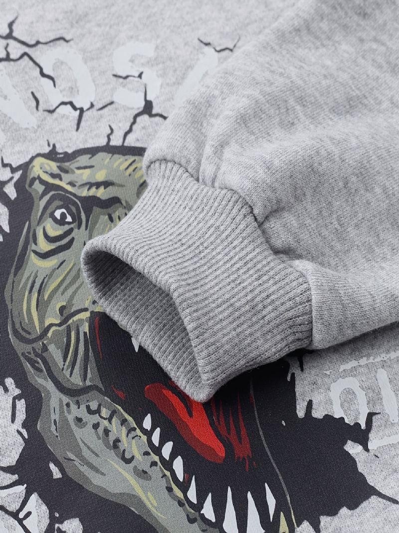 Børn Drenge Pullover Sweatshirt Med Dinosaur Mønster Børnetøj