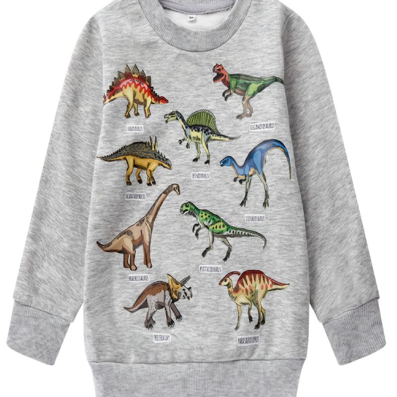 Drenge Dinosaur Print Langærmet Rundhals Sweatshirt