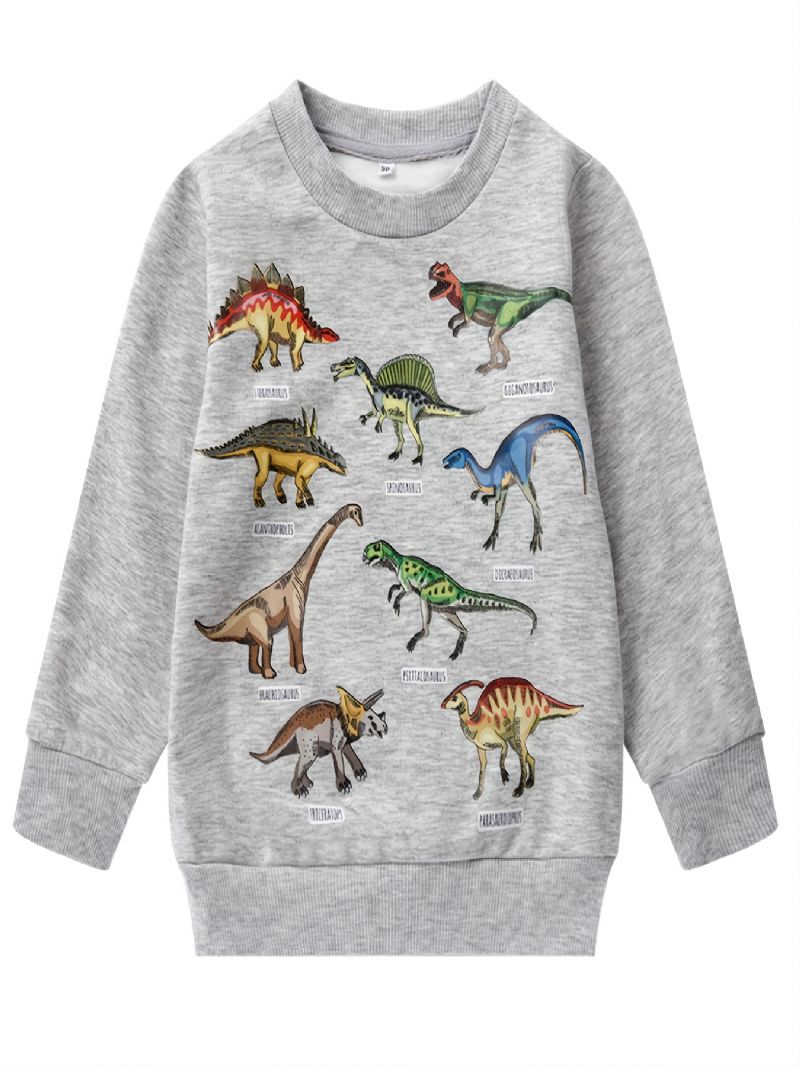 Drenge Dinosaur Print Langærmet Rundhals Sweatshirt