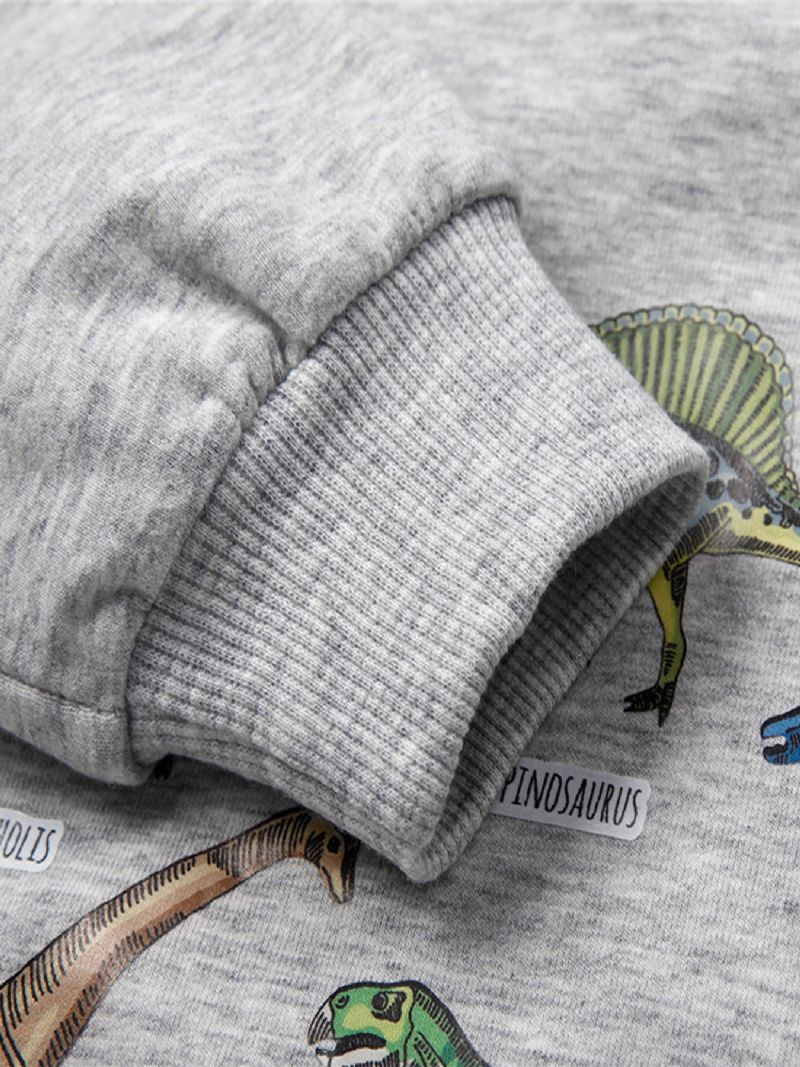 Drenge Dinosaur Print Langærmet Rundhals Sweatshirt