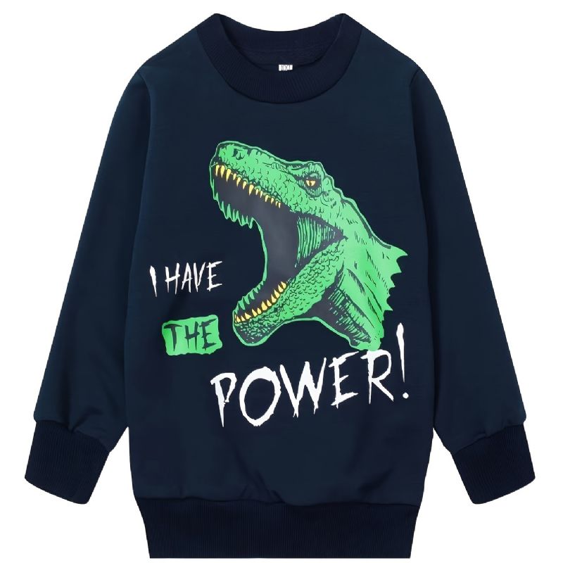 Drenge I Have The Power Dinosaur Rundhalset Langærmet Sweatshirt