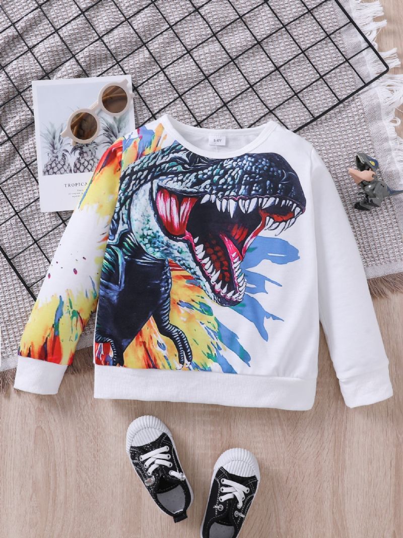 Langærmet Drenge Sweatshirt Med Dinosaur Print