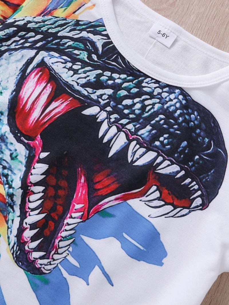 Langærmet Drenge Sweatshirt Med Dinosaur Print